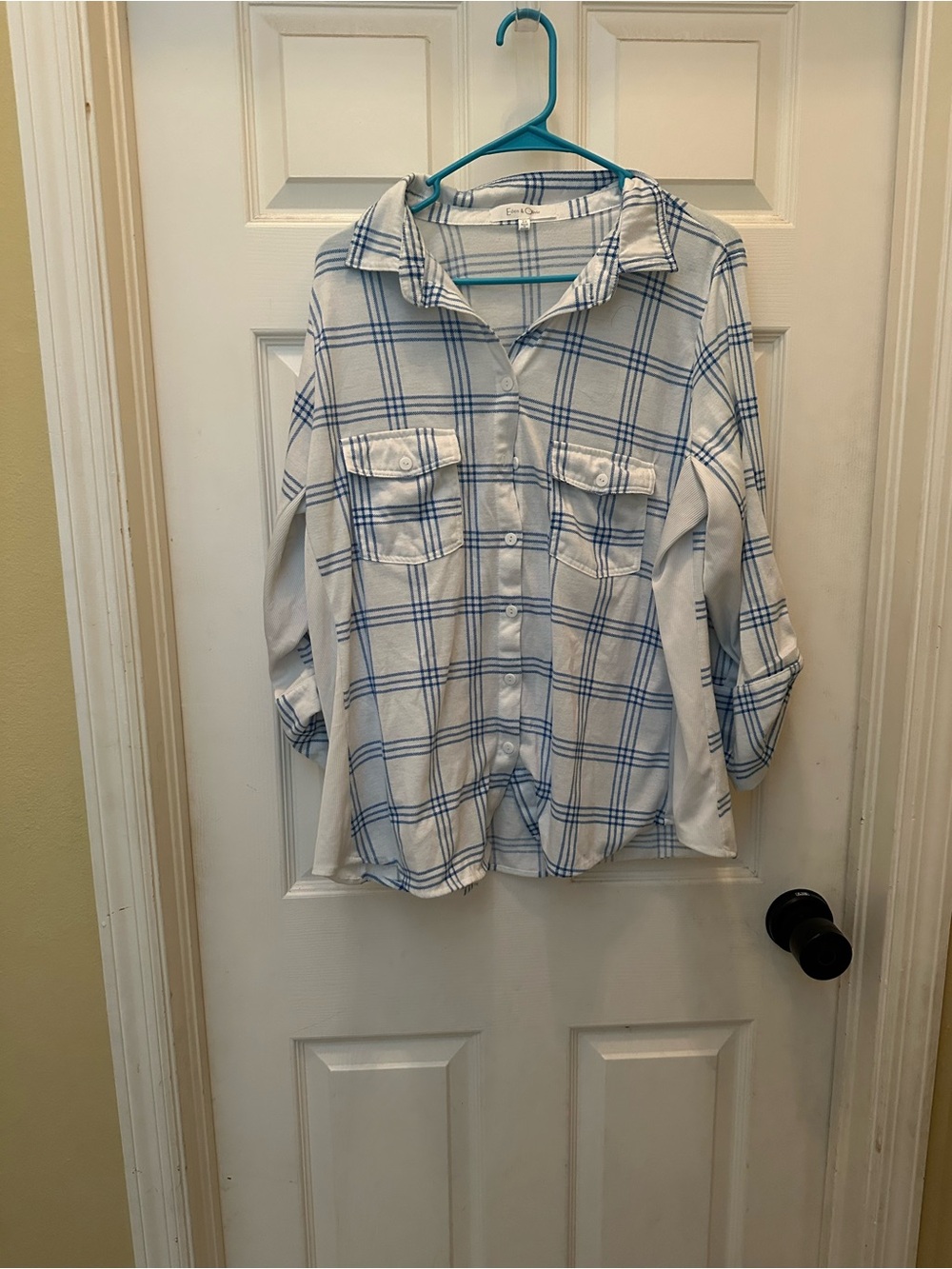 Classic Plaid Button-Up Shirt - Blue & White